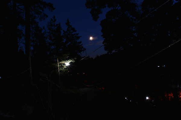 vaijeriliuku kuutamossa Seikkailupuisto Huipun pimeen seikkailun iltana